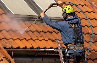 Démoussage et hydrofuge de toiture à Goin